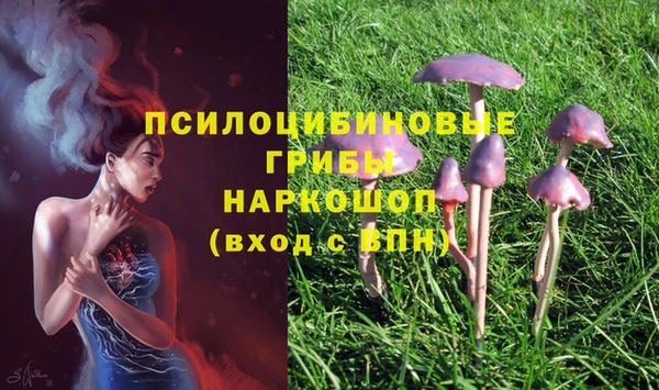 марки lsd Алексеевка