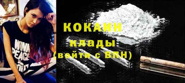 кокс Алексин