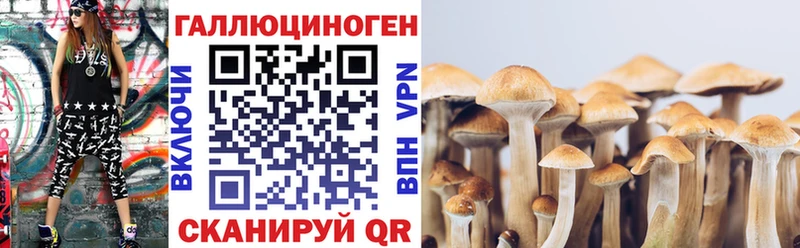 Галлюциногенные грибы Magic Shrooms  blacksprut   Томари 